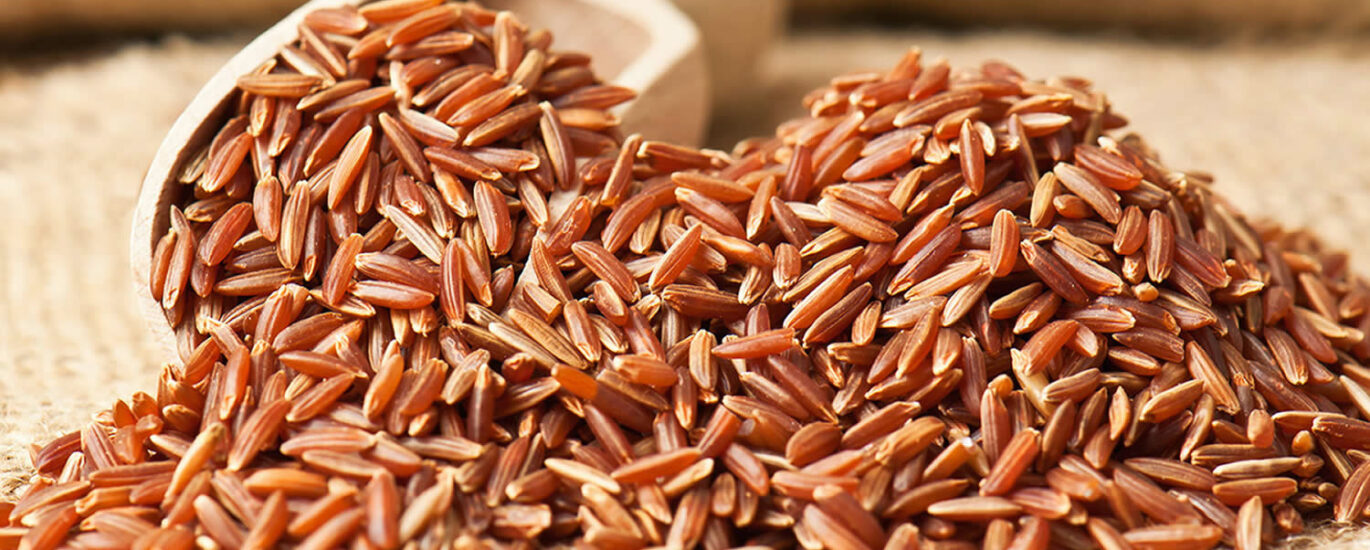 Red Yeast Rice